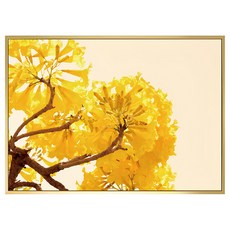 BOLUO GALLERY 菠蘿選畫所 金黃盛宴II 掛畫 BFEF3421G, 40 x 30cm, 金色