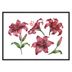 Boluo 菠蘿選畫所 香榭百合 畫作, 42 x 59.4cm, 黑色, 1個