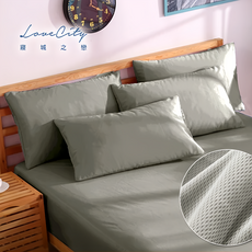 LoveCity 寢城之戀 台灣製 吸濕排汗透氣網眼 100%防水保潔枕套