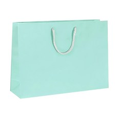 卡紙袋 250g 啞粉白卡紙手提禮品包裝袋, 淺綠, 1組