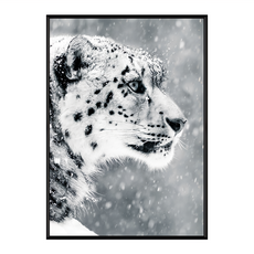 堅持 雪豹 畫布, 70 x 50cm, 金色框