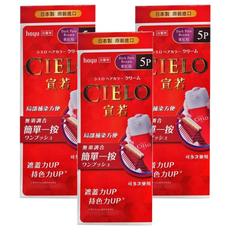 CIELO 宣若 EX 染髮霜 簡單一按 白髮專用, 紫紅棕, 3盒