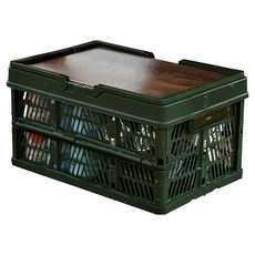 Mass 日式戶外露營可折疊整理收納箱, 1個, 綠色