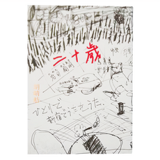 麥田 二十歲, 胡晴舫