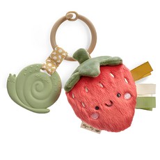 itzy ritzy 造型手抓固齒器 熱帶水果造型 EVA材質, 固齒器, 草莓, 1個
