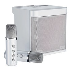 無線麥克風KTV藍芽音響 YS-203, 雙麥克風, Type-C充電, 10W, 藍芽5.0