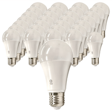 大家族 LED高光效無藍光 E27球泡 13W 50顆組, 白光(6500K), 1組