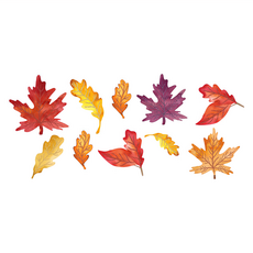 SUPER PARTY 派對城 裝飾紙卡 Set 10 Leaves Mini Glitter Cutout, 楓葉 多色, 1包