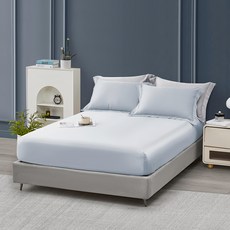 J-bedtime 床寢時光 60支奧地利正版蘭精 100%純天絲床包 + 枕套 2個 S5553L