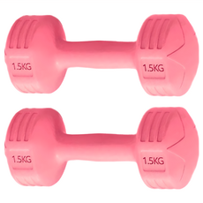 AD-ROCKET 絕美限定糖果啞鈴 Set, PVC頂級材質, 鐵砂混合物, 六角造型, 整體可水洗, 1.5kg, 2個