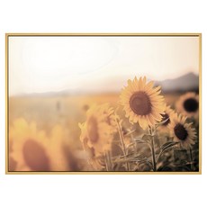 BOLUO GALLERY 菠蘿選畫所 徜徉花海 向日葵I, 40 x 30cm, 木色