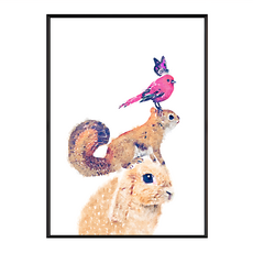 小動物金字塔, 黑色