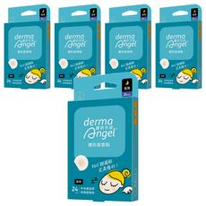 derma Angel 護妍天使 隱形痘痘貼夜用, 24片, 5盒