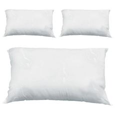 Greenfirst 天然防蚊防蹣枕, 白色, 45 x 75cm, 3個