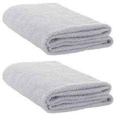 日本桃雪 強悍耐洗速乾毛巾, 泉州毛巾認證 100%純棉, 33x85cm, 亮灰銀, 2條