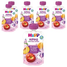 HiPP 喜寶 生機水果趣, 100g, 6入