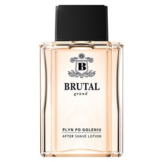 LA RIVE Brutal Grand 鬍後收斂水, 香草和麝香的爽身粉香, 東方香調, 水果香調 100ml, 1瓶