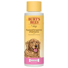 BURT'S BEES 乳油木果蜂蜜沐浴露, 維持皮膚健康彈性 提亮肌膚毛髮 肌膚保濕, 16oz, 1瓶