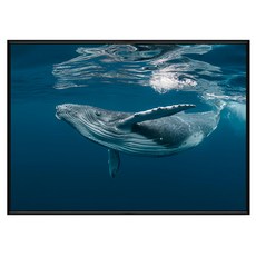 菠蘿選畫所 海洋世界鯨魚掛畫 (59.4 x 42cm) 框架 居家裝飾藝術品, 黑色