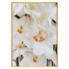 菠蘿選畫所 花 淡泊 BFFB3409D 40 x 30cm 框畫 花卉掛畫 居家裝飾, 木色
