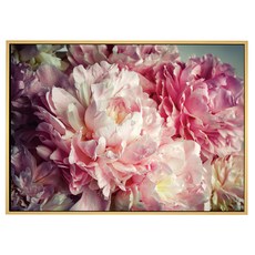 菠蘿選畫所 柔雅牡丹, 42 x 59.4cm, 木色