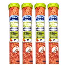 elkos 愛可舒 發泡錠 西柚風味 綜合維他命 + 鎂 Set 17顆, 4支, 102g