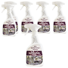 GBPH 好寶貝 玻璃皂垢清潔噴霧 薰衣草花園, 500ml, 6瓶