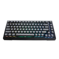 Ducky ProjectD Tinker 75% 經典黑 機械式鍵盤 RGB 熱插拔 紅軸 中文 客製化, PKTI2383AST-CRTWPDOECLAAW1, 1個