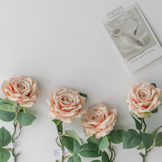 KUIBAO 快豹生活 復古仿真玫瑰花, 香檳色, 10支