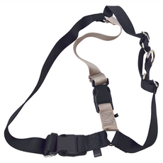 PetSafe 普立爾 輕鬆走防暴衝胸背帶, 黑色, 1條