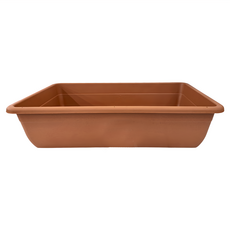 翠筠 菜圃, 顏色隨機, 1個