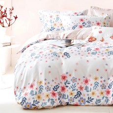 Aaron艾倫生活家 頂級舒柔棉床包枕套3件組