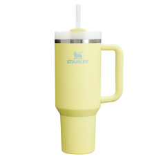 STANLEY 台灣公司貨 冒險系列 吸管隨手杯2.0, 880ml, 萊姆黃, 1個