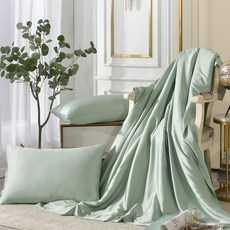 Betrise 貝翠絲 300織紗 100%奧地利天絲TM光淬石墨烯四季涼被枕套3件組, 石墨綠