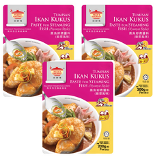 TEAN'S GOURMET 田師傅 蒸魚即煮醬料 娘惹風味 馬來西亞傳統風味, 200g, 5包