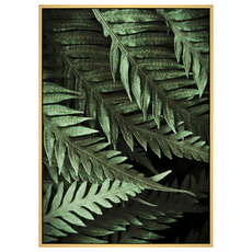 BOLUO GALLERY 菠蘿選畫所 蔓蔓日茂 BFLE3417D 掛畫, 木色