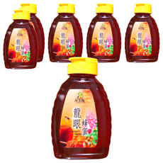尋蜜趣 嚴選龍眼蜂蜜 380g - 天然純正 口感香醇濃郁, 6瓶