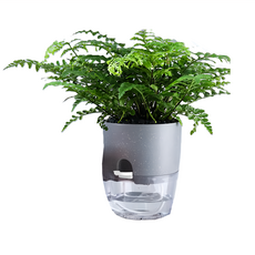 品屋 透明自吸水花盆, AS高透明材質, 耐磨防曬, 可控水, 水土分離易清潔, 7.05吋, 灰色, 1個