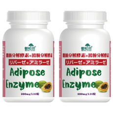 ROYAL SONG 御松田 脂肪分解酵素 + 澱粉分解酵素, 30顆, 500mg, 2罐