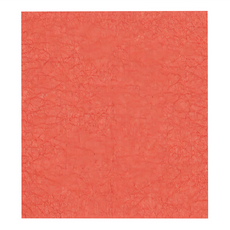 Ecologie 瑞典環保抹布 磚紅, 1個