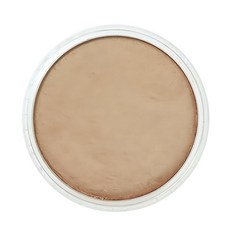 PANPASTEL 軟質藝術家盤粉彩餅 930.5 古銅色, 1色, 1個