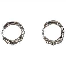 Brilliant Beauty 耀眼美人 W仙女座鋯石鑽圓圈環鈦閃耀/鈦剛耳環