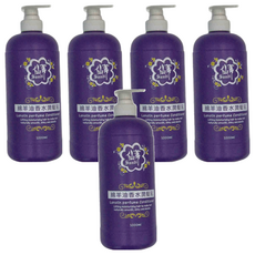 SANDI 仙蒂 綿羊油香水潤髮乳, 1L, 5瓶