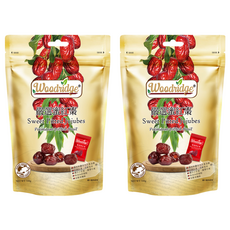 Woodridge 森之果物 嚴選蜜紅棗, 160g, 無添加防腐劑, 2包