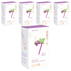 順天本草 芙蓉生之化和解計畫 桑葚口味 溫熱飲沖泡, 10包, 24g, 5盒