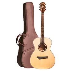 Gopher Wood 原聲吉他, 1個, i-110, 混和顏色