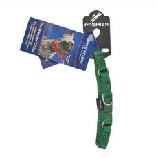 PetSafe 普立爾專業犬頸圈 尼龍材質 適用於11kg以下小型犬, 綠色, 1條