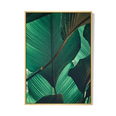 BOLUO GALLERY 菠蘿選畫所 夏日翡翠III 掛畫 BFLE3414D, 原木色