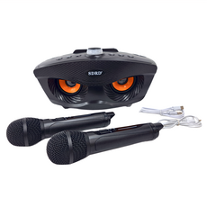 SDRD 可攜式KTV音箱 SD-306，輸出功率10W+10W