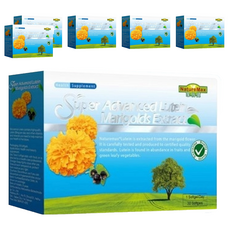 NatureMax 家倍健 金盞花萃取物含葉黃素複方軟膠囊，專利酯化型，含多種維生素, 750mg, 30顆, 6盒